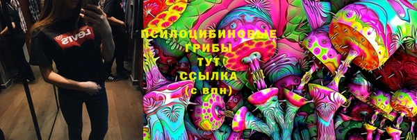 ПСИЛОЦИБИНОВЫЕ ГРИБЫ Волоколамск