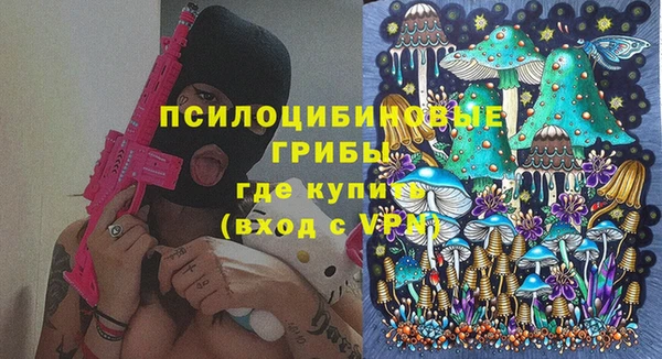 ПСИЛОЦИБИНОВЫЕ ГРИБЫ Волоколамск