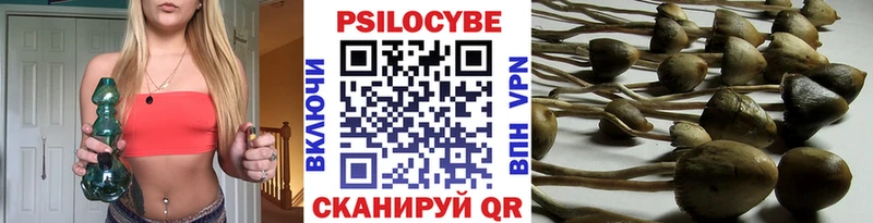 Псилоцибиновые грибы Psilocybine cubensis ОМГ ОМГ вход Чёрмоз купить закладку